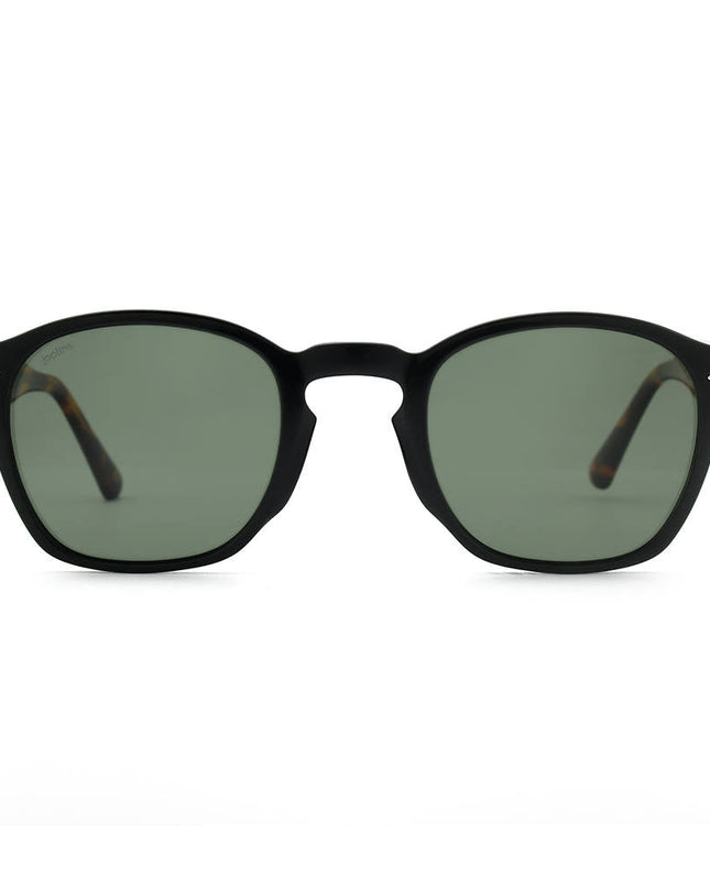 Macaw - Bio Acetate Sunglasses